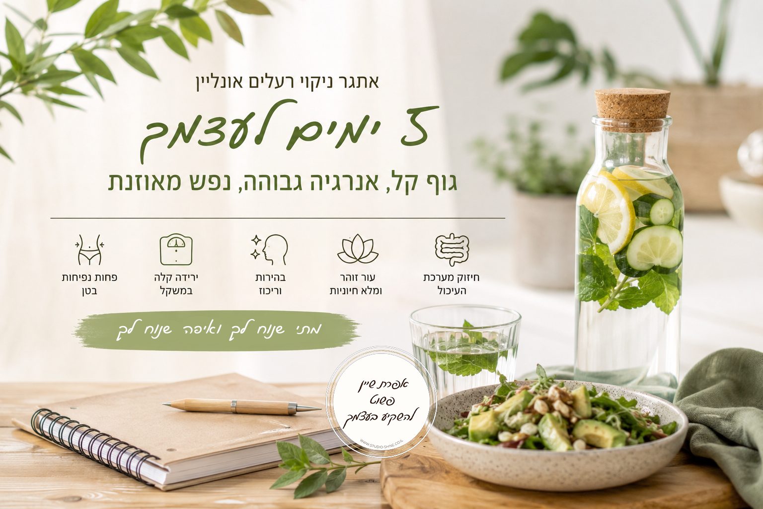 ניקוי רעלים - תכנית דיגיטלית