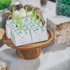 עיצובים ומיתוג למסיבות